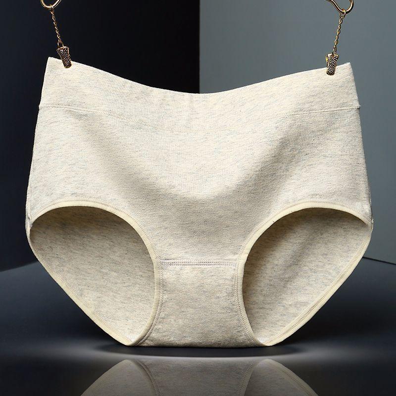 Supportive High Waist Brief Panty-Theone Apparel