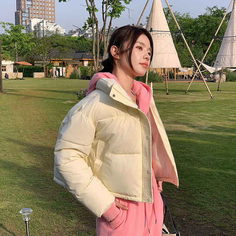 Petite Short Stand Collar Thick Polyester Jacket For Women Casual