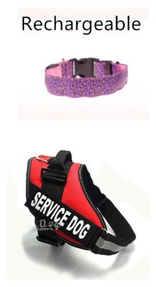 https://www.cjdropshipping.com/product/led-dog-collar-safety-adjustable-nylon-leopard-pet-collar-p-389BF088-5B5E-46C8-83F7-35B4361985E6.html