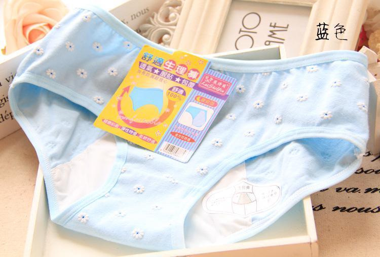 Floral Daisy Delight Hipster Panty-Light Blue-Theone Apparel