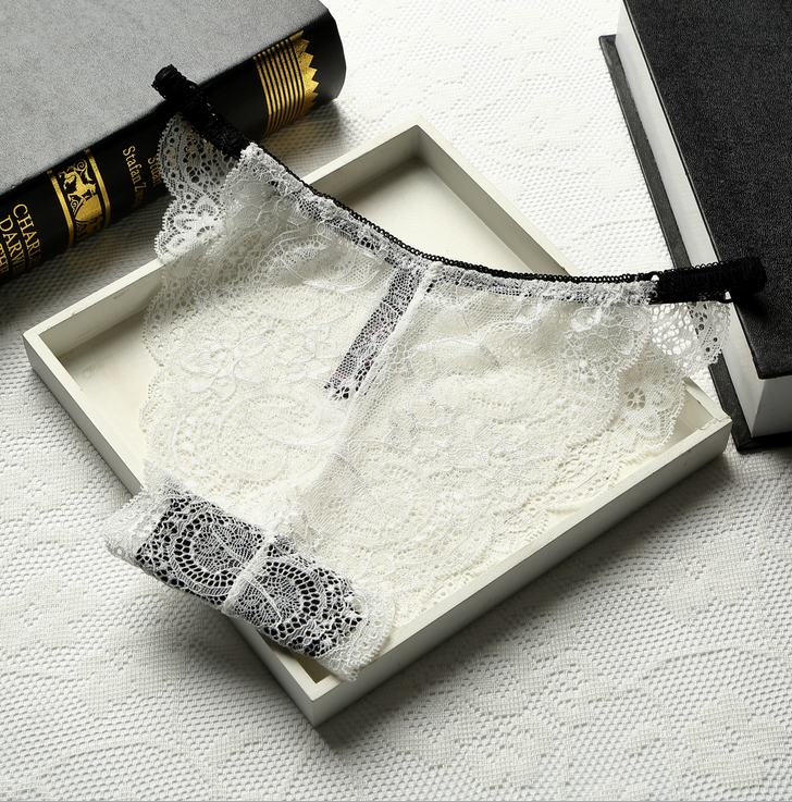 Full Coverage Brief Style Lace Underwear-White-Theone Apparel