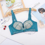 Lace Cup Pushup Fashion BH