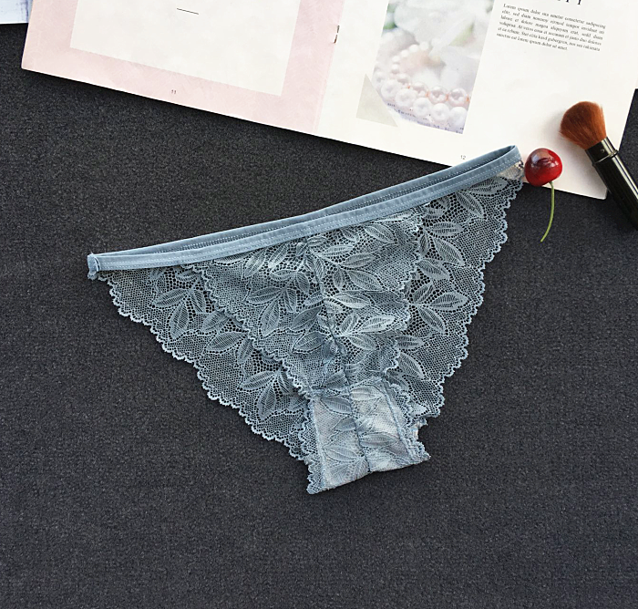 Semi See Through Lace Briefs Panties-Grayish Blue-Theone Apparel